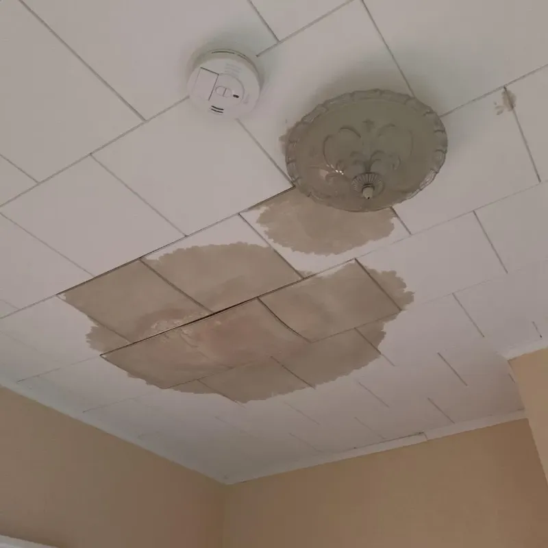 Ceiling Water Damage Repair in Etna, OH