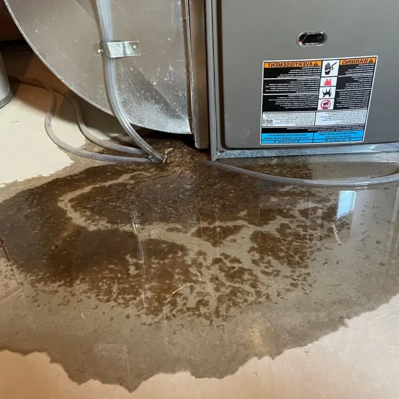 Pipe Burst and Leak Restoration in Etna, OH