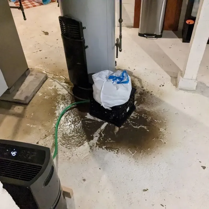 Sewage Backup Cleanup Service in Etna, OH